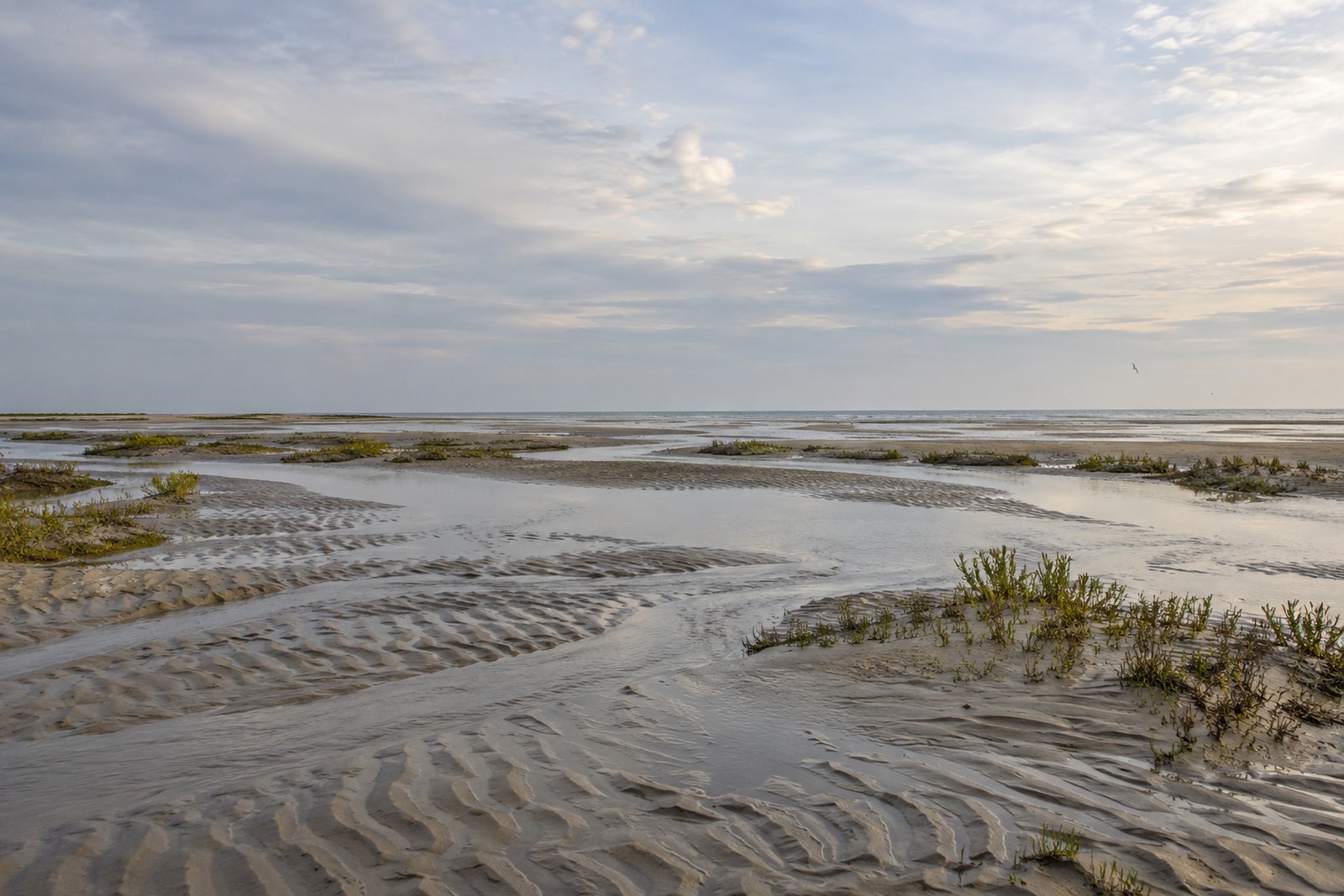 Zandduinen en moeras van de Kwade Hoek gezien vanaf een gemarkeerd pad